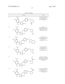 TRIAZOLE COMPOUNDS THAT MODULATE HSP90 ACTIVITY diagram and image