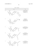 TRIAZOLE COMPOUNDS THAT MODULATE HSP90 ACTIVITY diagram and image