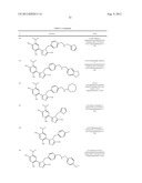 TRIAZOLE COMPOUNDS THAT MODULATE HSP90 ACTIVITY diagram and image