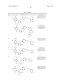 TRIAZOLE COMPOUNDS THAT MODULATE HSP90 ACTIVITY diagram and image