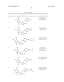 TRIAZOLE COMPOUNDS THAT MODULATE HSP90 ACTIVITY diagram and image