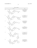 TRIAZOLE COMPOUNDS THAT MODULATE HSP90 ACTIVITY diagram and image