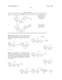 TRIAZOLE COMPOUNDS THAT MODULATE HSP90 ACTIVITY diagram and image