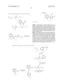 TRIAZOLE COMPOUNDS THAT MODULATE HSP90 ACTIVITY diagram and image