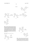 TRIAZOLE COMPOUNDS THAT MODULATE HSP90 ACTIVITY diagram and image