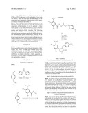 TRIAZOLE COMPOUNDS THAT MODULATE HSP90 ACTIVITY diagram and image