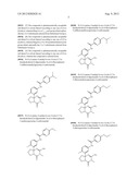 FUSED AMINODIHYDROPYRIMIDONE DERIVATIVES diagram and image