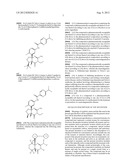 FUSED AMINODIHYDROPYRIMIDONE DERIVATIVES diagram and image