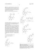 FUSED AMINODIHYDROPYRIMIDONE DERIVATIVES diagram and image