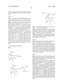 FUSED AMINODIHYDROPYRIMIDONE DERIVATIVES diagram and image