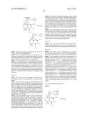 FUSED AMINODIHYDROPYRIMIDONE DERIVATIVES diagram and image