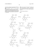 FUSED AMINODIHYDROPYRIMIDONE DERIVATIVES diagram and image