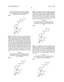 FUSED AMINODIHYDROPYRIMIDONE DERIVATIVES diagram and image