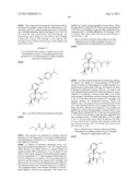 FUSED AMINODIHYDROPYRIMIDONE DERIVATIVES diagram and image