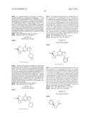 6-Cycloalkyl-pyrazolopyrimidinones for the Treatment of CNS Disorders diagram and image