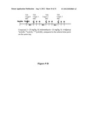 Analgesic Compounds, Compositions and Uses Thereof diagram and image