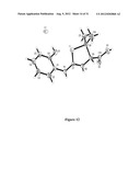 Analgesic Compounds, Compositions and Uses Thereof diagram and image