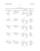 Analgesic Compounds, Compositions and Uses Thereof diagram and image