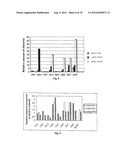 RNAi Probes Targeting Cancer-Related Proteins diagram and image