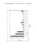 RNAi Probes Targeting Cancer-Related Proteins diagram and image