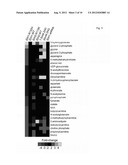 EFFECTS OF IDH1 AND IDH2 MUTATIONS ON THE CELLULAR METABOLOME diagram and image