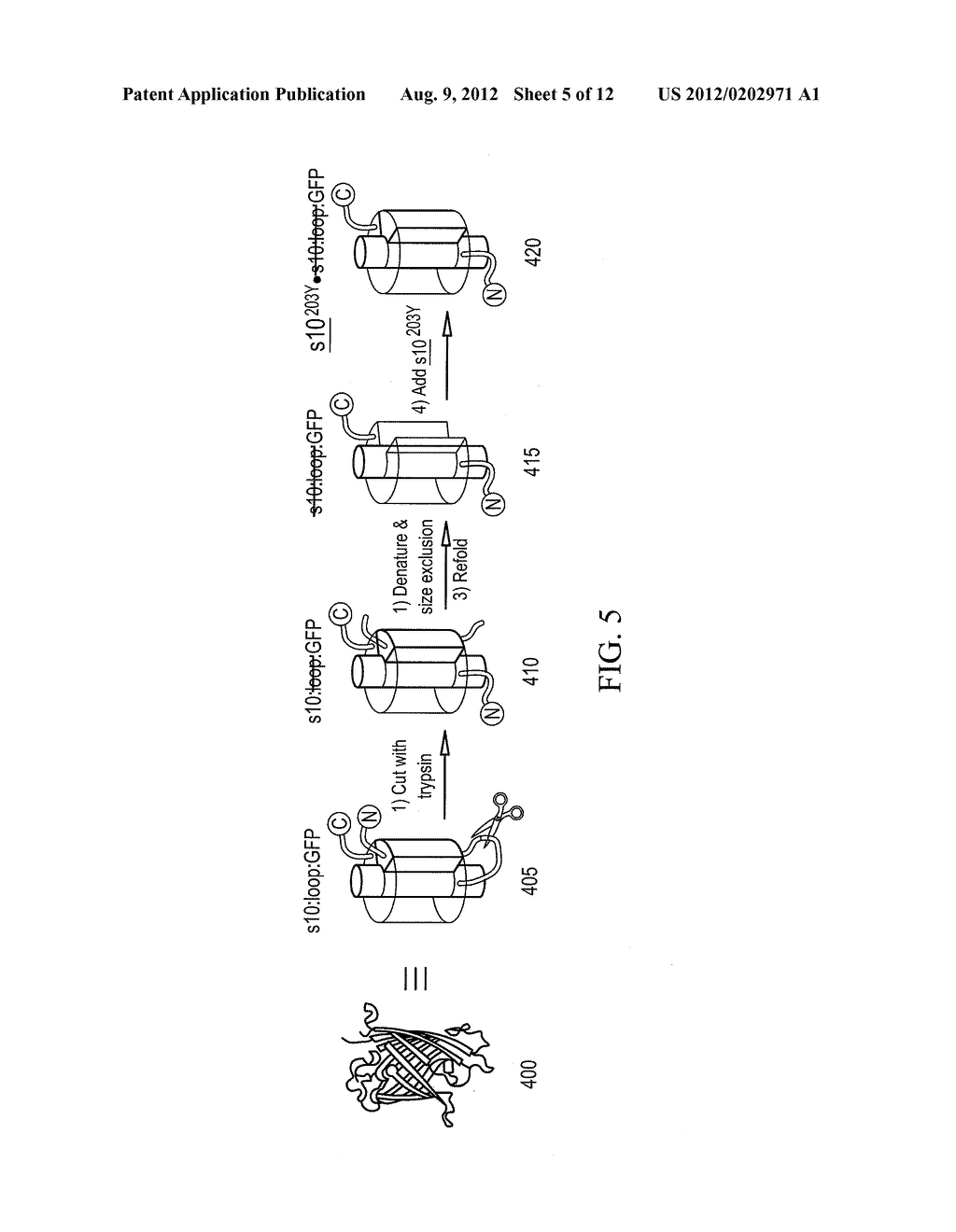 LIGHT ACTIVATED ASSOCIATION OF SPLIT GFP - diagram, schematic, and image 06