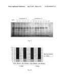  METHOD FOR EXTRACTING RECOMBINANT HUMAN SERUM ALBUMIN FROM TRANSGENIC     RICE GRAIN diagram and image