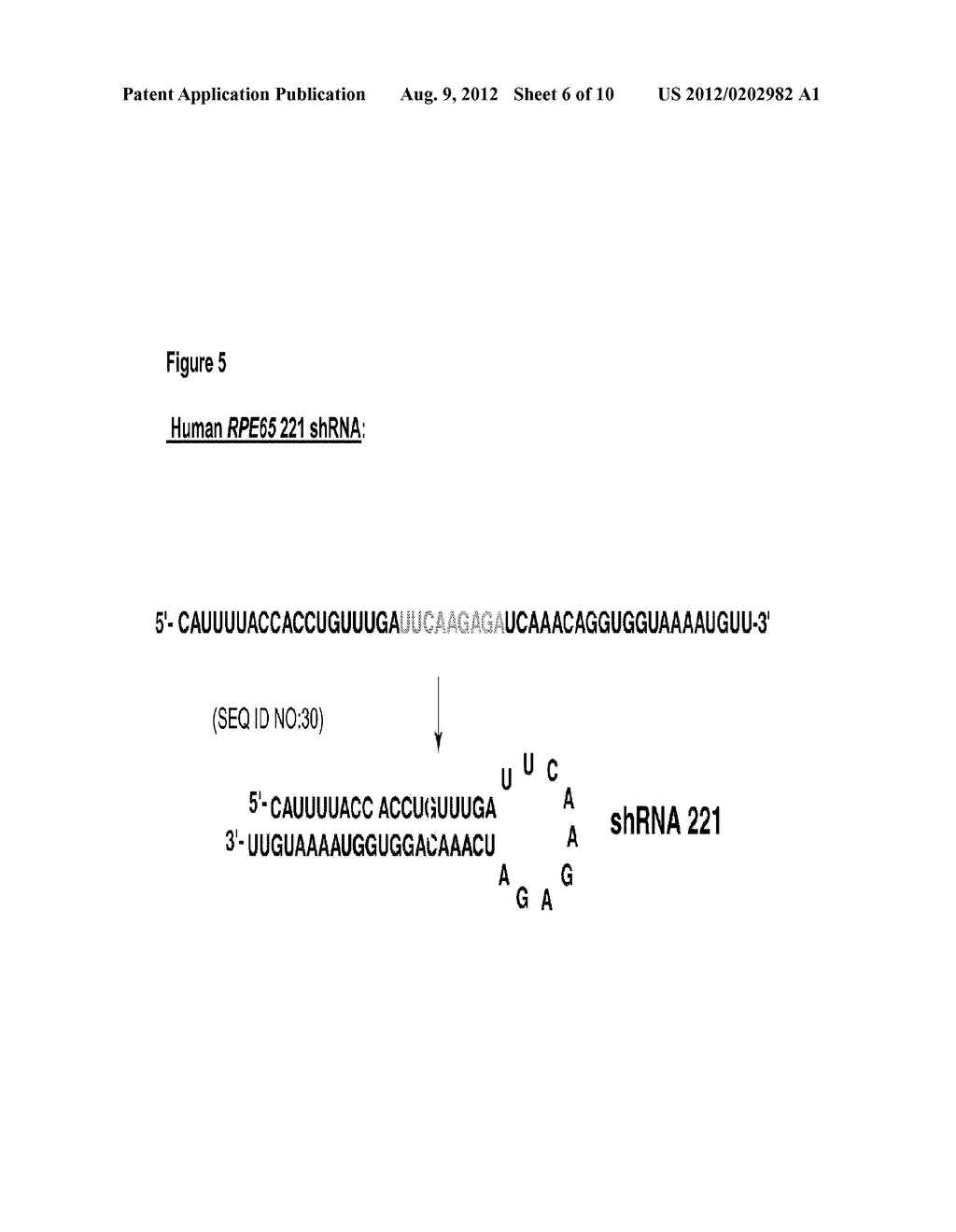 Compositions and Methods for Therapy of Macular Degeneration - diagram, schematic, and image 07