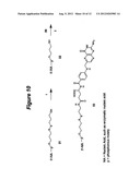 Conjugates and Compositions for Cellular Delivery diagram and image