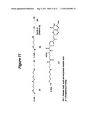 Conjugates and Compositions for Cellular Delivery diagram and image