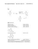 PROCESS FOR THE OXIDATION OF MESITOL diagram and image