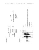 Tailored Oils Produced from Recombinant Oleaginous Microorganisms diagram and image