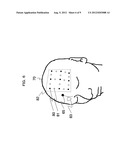 BIOLOGICAL OPTICAL MEASUREMENT INSTRUMENT AND REFERENCE IMAGE DISPLAY     METHOD diagram and image