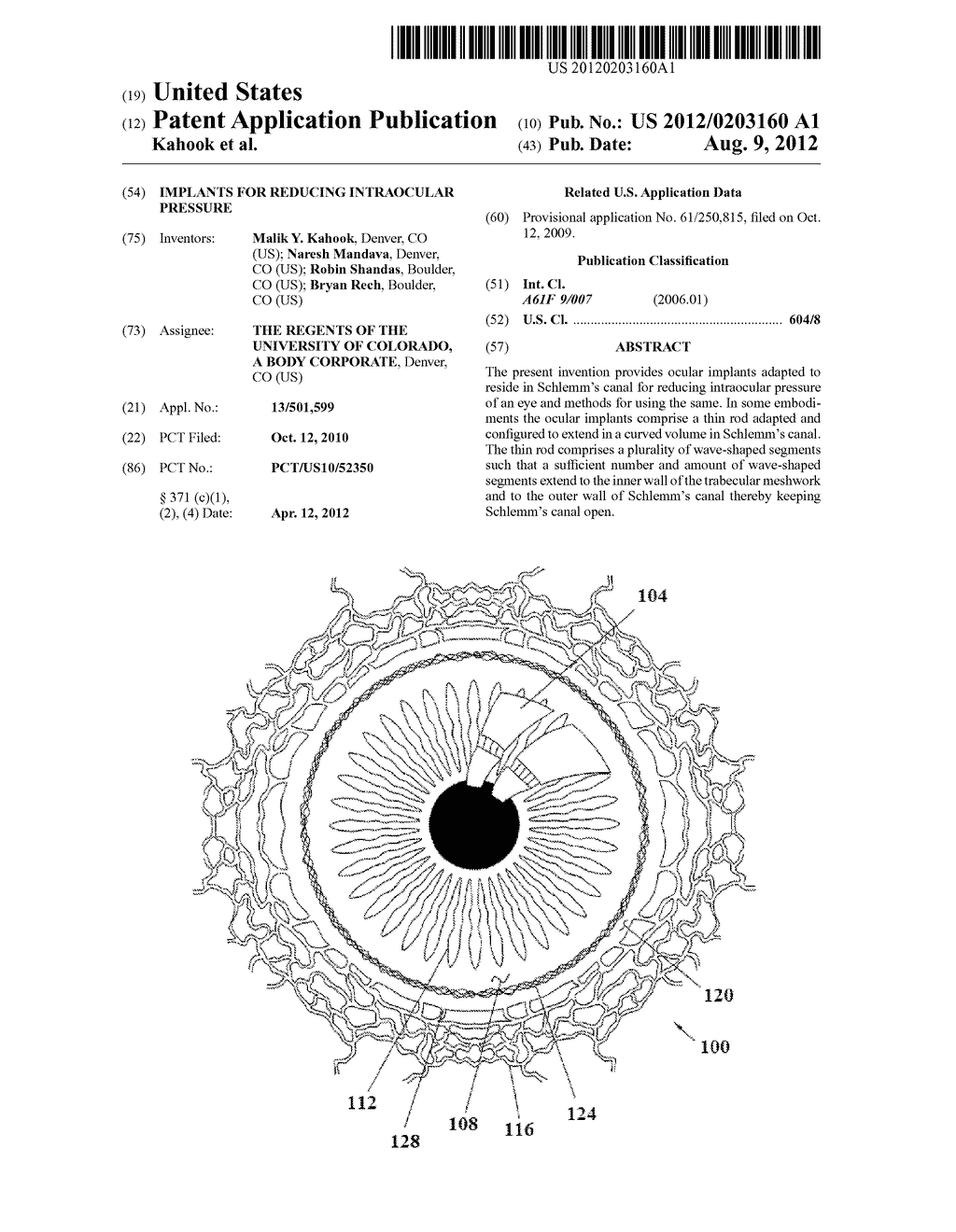 IMPLANTS FOR REDUCING INTRAOCULAR PRESSURE - diagram, schematic, and image 01