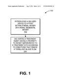 METHOD AND APPARATUS FOR DELIVERING AN AGENT TO A KIDNEY diagram and image