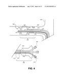 METHOD AND APPARATUS FOR DELIVERING AN AGENT TO A KIDNEY diagram and image