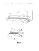 METHOD AND APPARATUS FOR DELIVERING AN AGENT TO A KIDNEY diagram and image