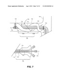 METHOD AND APPARATUS FOR DELIVERING AN AGENT TO A KIDNEY diagram and image