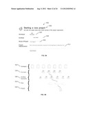 SYSTEM AND METHOD FOR ANALYZING AND DESIGNING AN ARCHITECTURAL STRUCTURE diagram and image