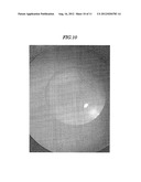 CONTAINER FOR CRYSTALLIZATION, CRYSTALLIZATION APPARATUS, METHOD FOR     PRODUCING CRYSTAL, AND SUBSTRATE FOR CRYSTALLIZATION diagram and image