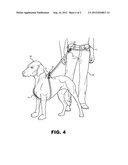 Universal Dog Leash diagram and image