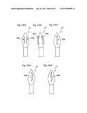 LIP COSMETIC APPLICATOR DEVICE diagram and image