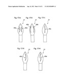 LIP COSMETIC APPLICATOR DEVICE diagram and image