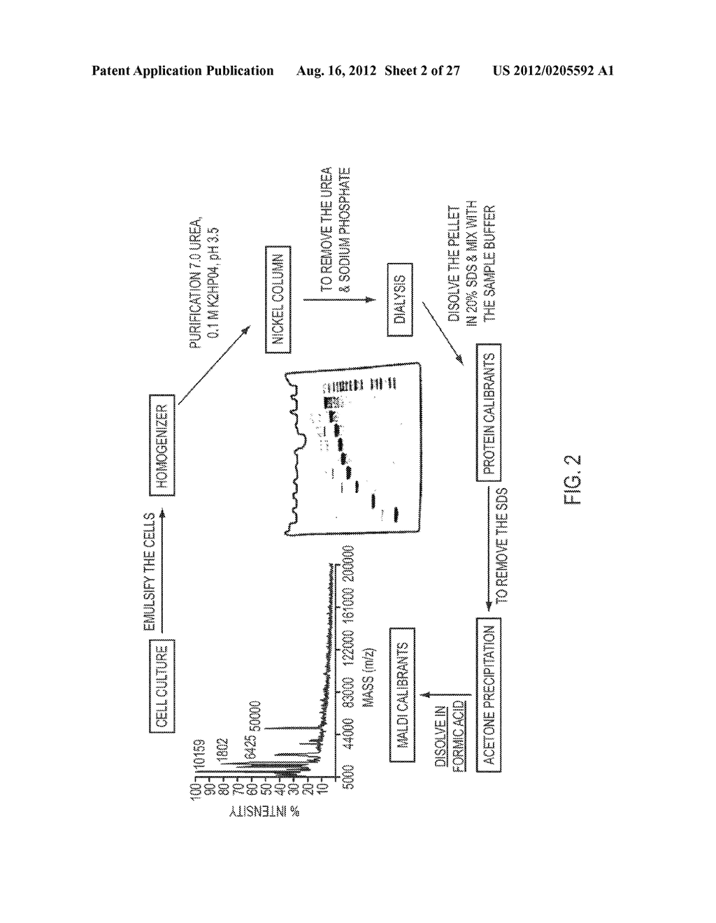 COMPOSITIONS, KITS, AND METHODS FOR CALIBRATION IN MASS SPECTROMETRY - diagram, schematic, and image 03