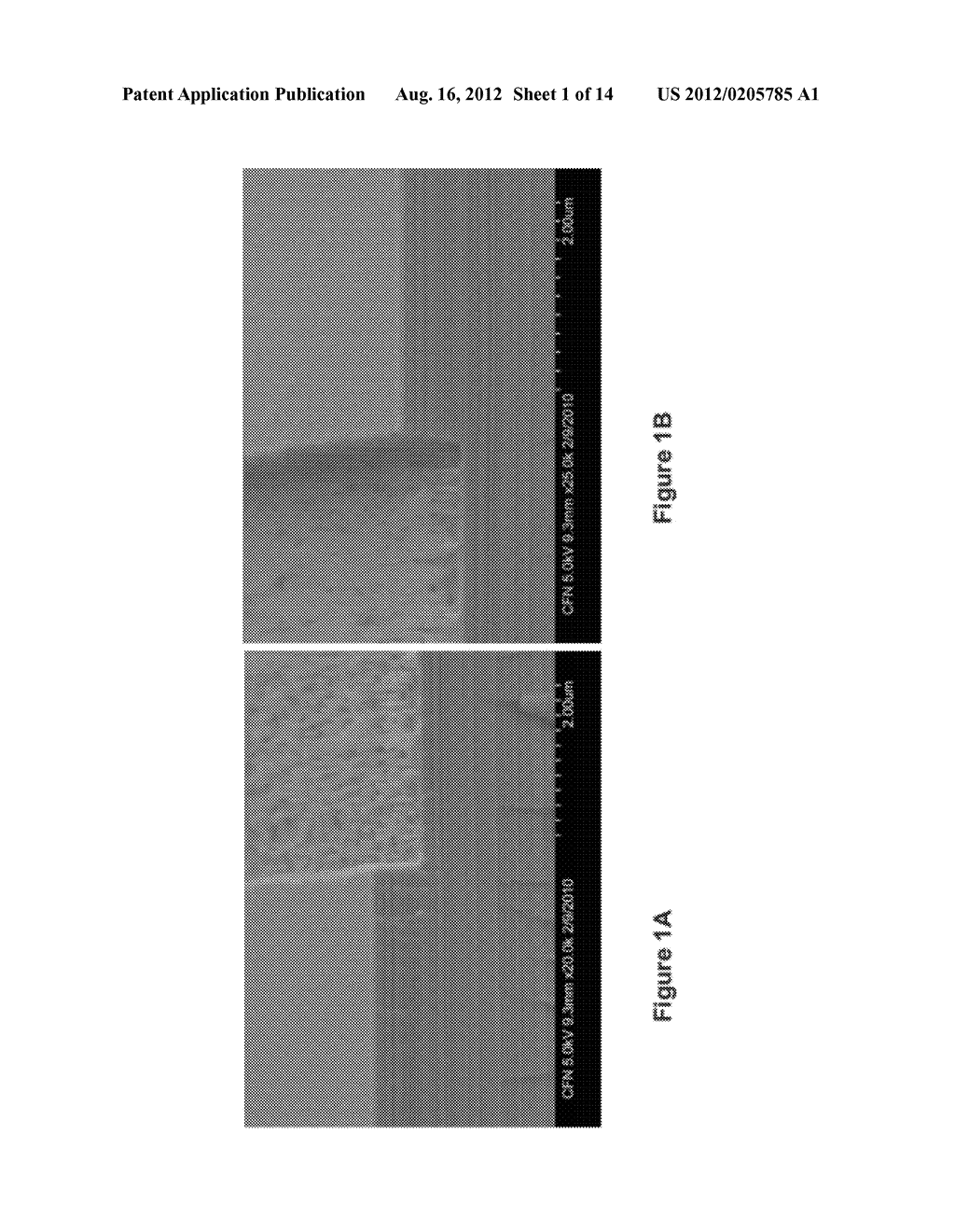 Technique for Etching Monolayer and Multilayer Materials - diagram, schematic, and image 02