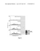 High-Resolution Laser Induced Breakdown Spectroscopy Devices and Methods diagram and image