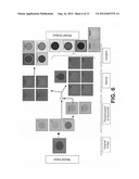 Bioinspired System for Processing and Characterising Colour Attributes of     a Digital Image diagram and image