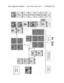 Bioinspired System for Processing and Characterising Colour Attributes of     a Digital Image diagram and image