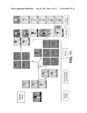 Bioinspired System for Processing and Characterising Colour Attributes of     a Digital Image diagram and image