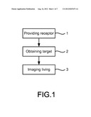 Method of Colorectal Cancer Detection by Using Radiolabeled Anti-GRP78     Peptide diagram and image